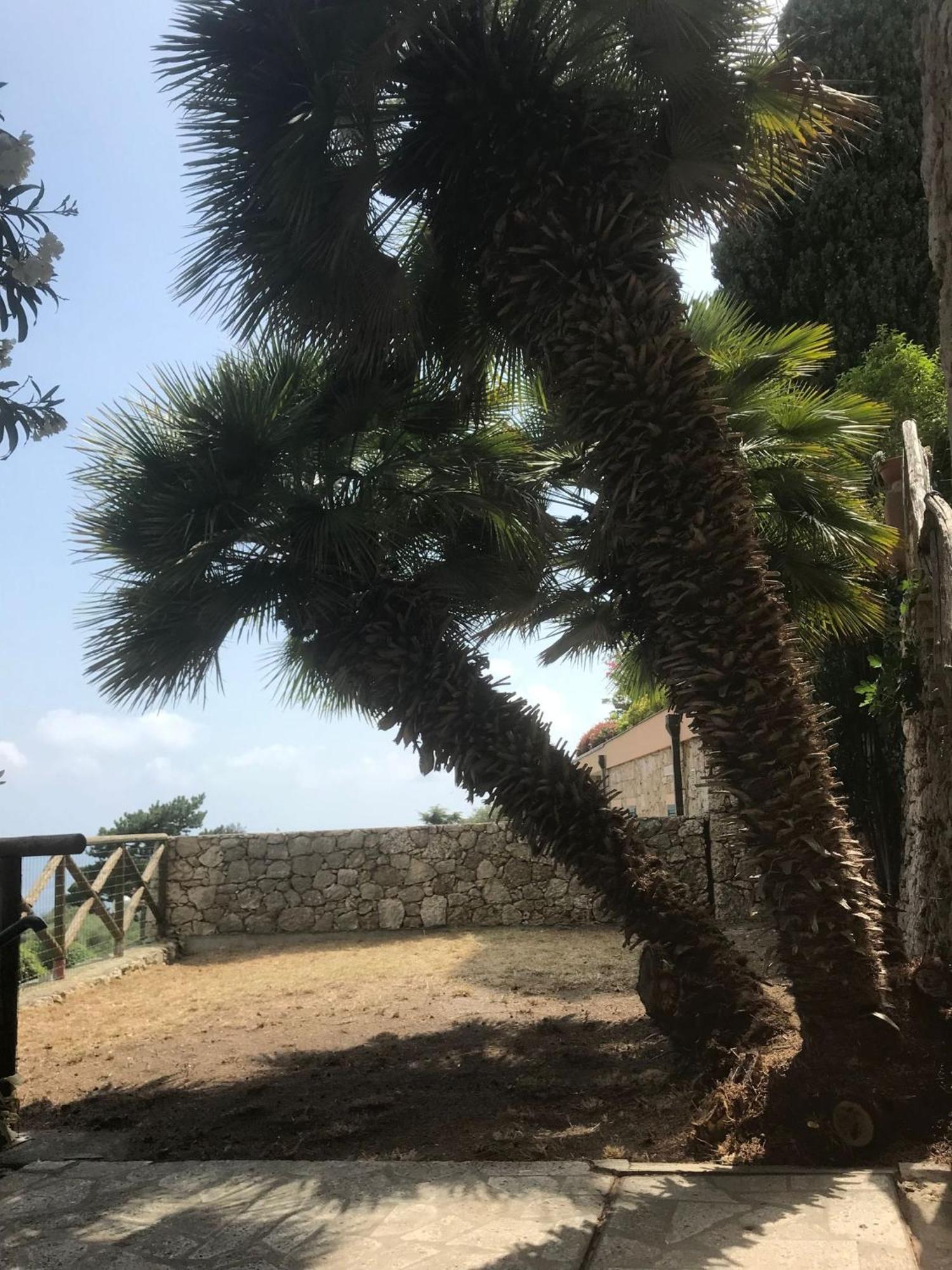 La Cita Ca - Vista Mare Apartment Finale Ligure Ngoại thất bức ảnh